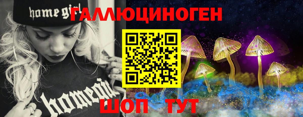 Галлюциногенные грибы ЛСД Отрадный