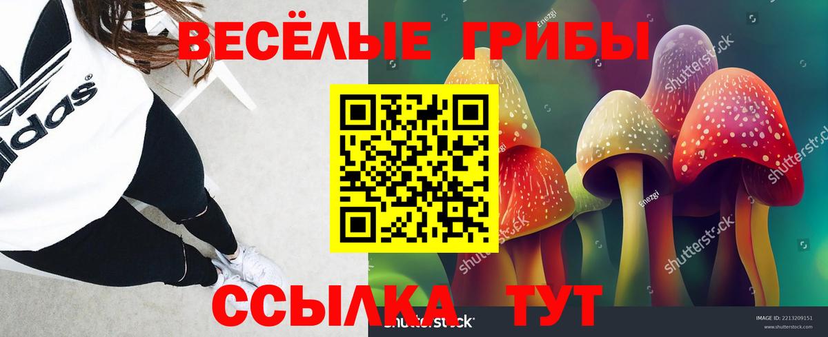 Отрадный  Галлюциногенные грибы MAGIC MUSHROOMS  Вход с VPN  Галлюциногенные грибы GOLDEN TEACHER 